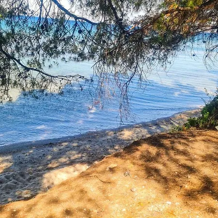 Luxury In Akti Elias Sithonia Lagomandra