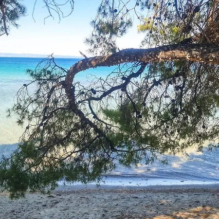 Luxury In Akti Elias Sithonia Lejlighed Lagomandra