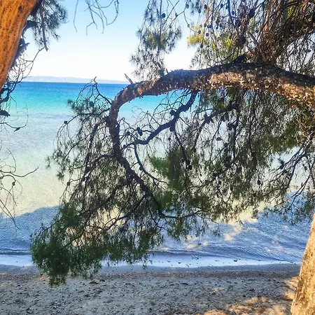 아파트 Luxury In Akti Elias Sithonia 라고만드라