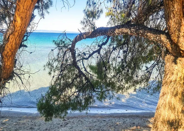 Appartement Luxury In Akti Elias Sithonia Lagomandra